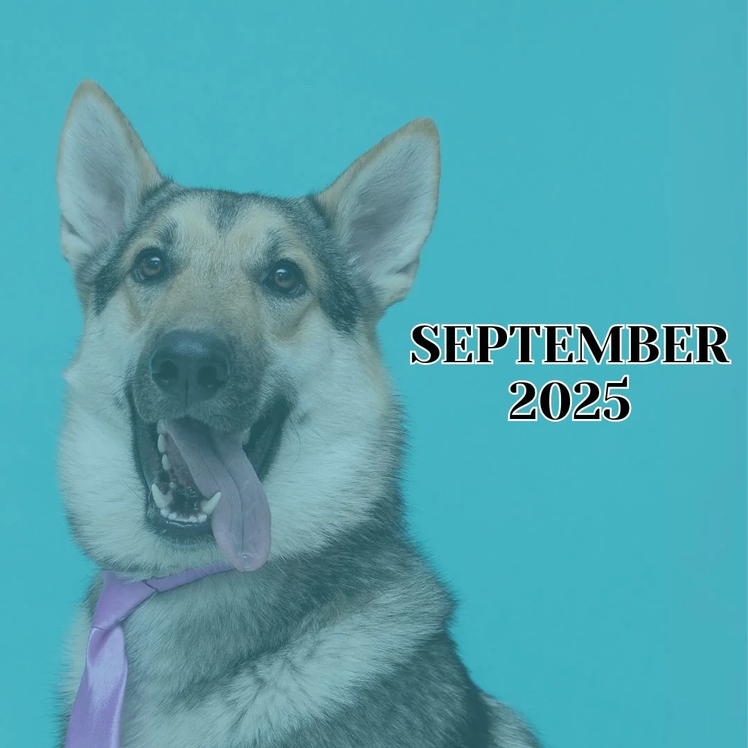 TLC September 2025 Newsletter