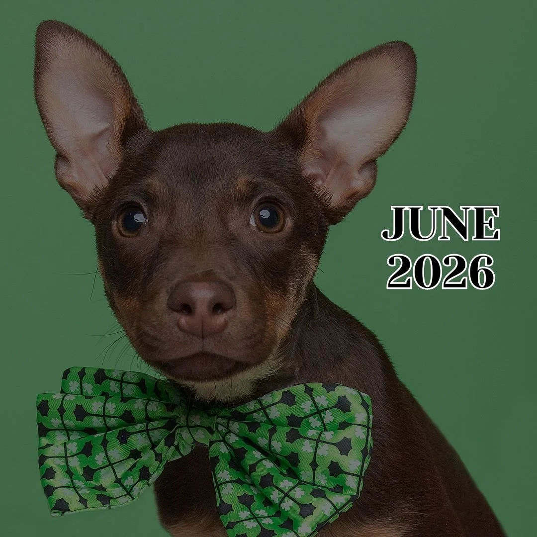 TLC Newsletter June 2026