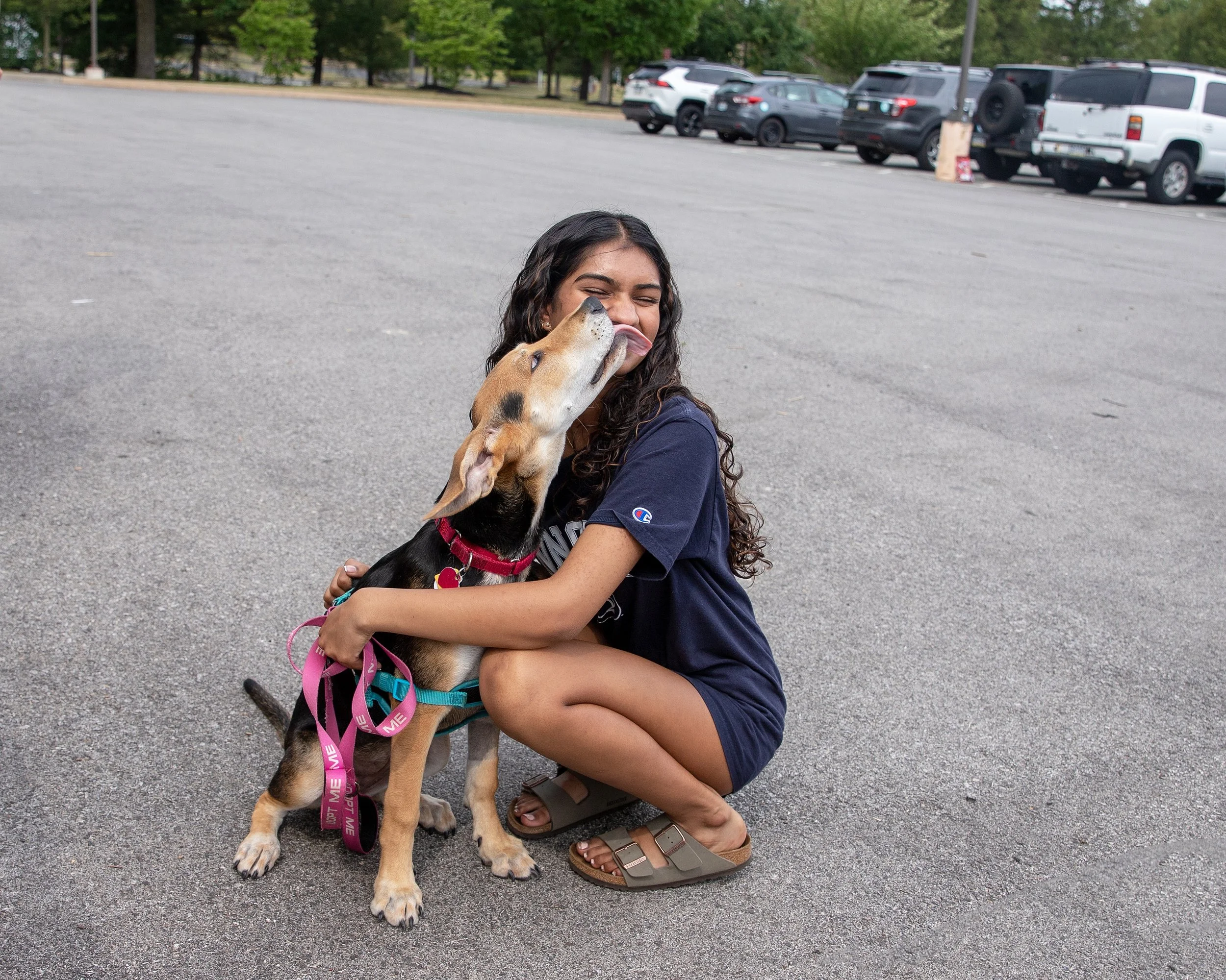 puppypalooza-gallery-Nattie 5 (7).jpg