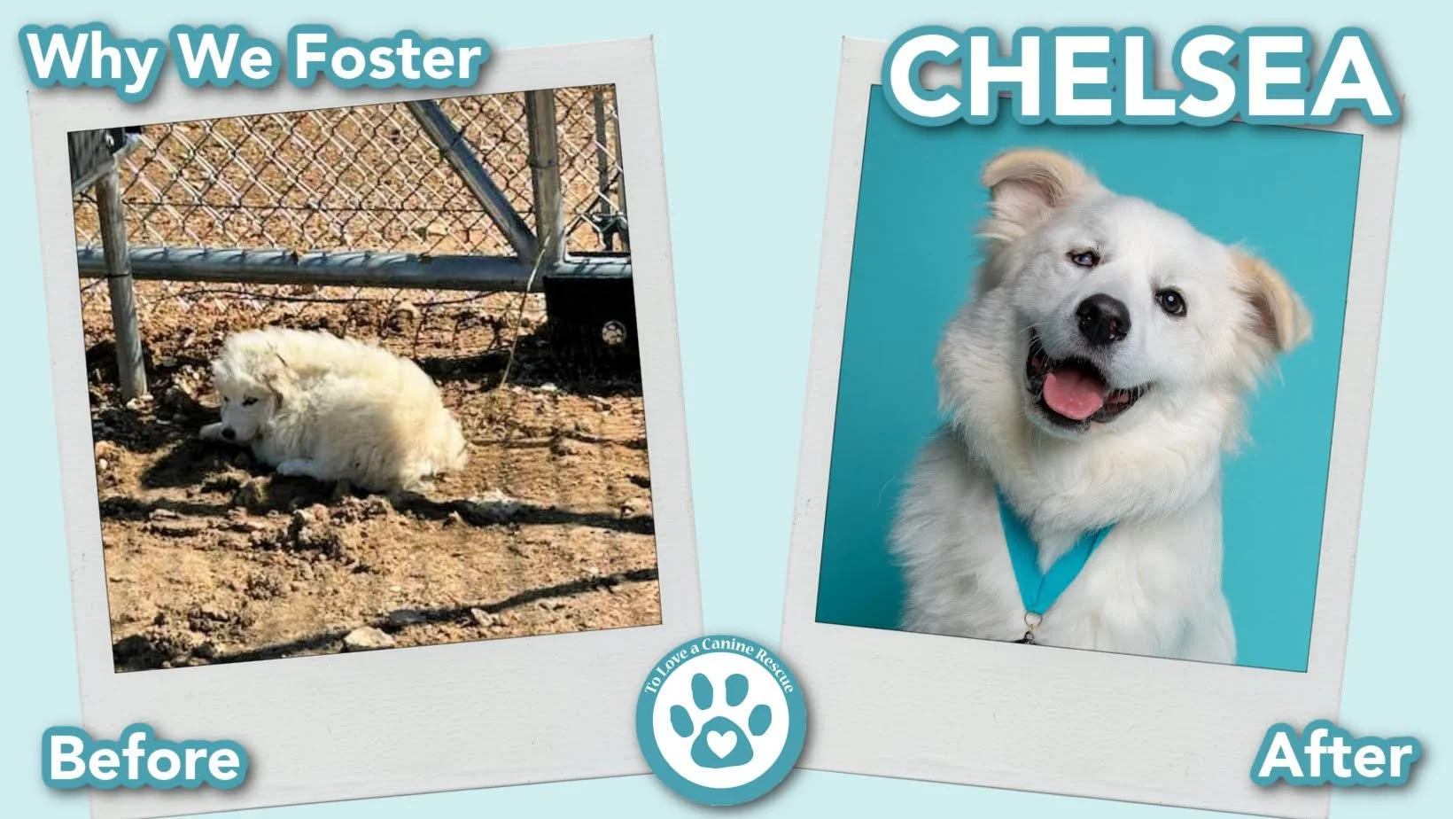 donate-gallery-Chelsea (Before&After) - for website  copy (7).jpg