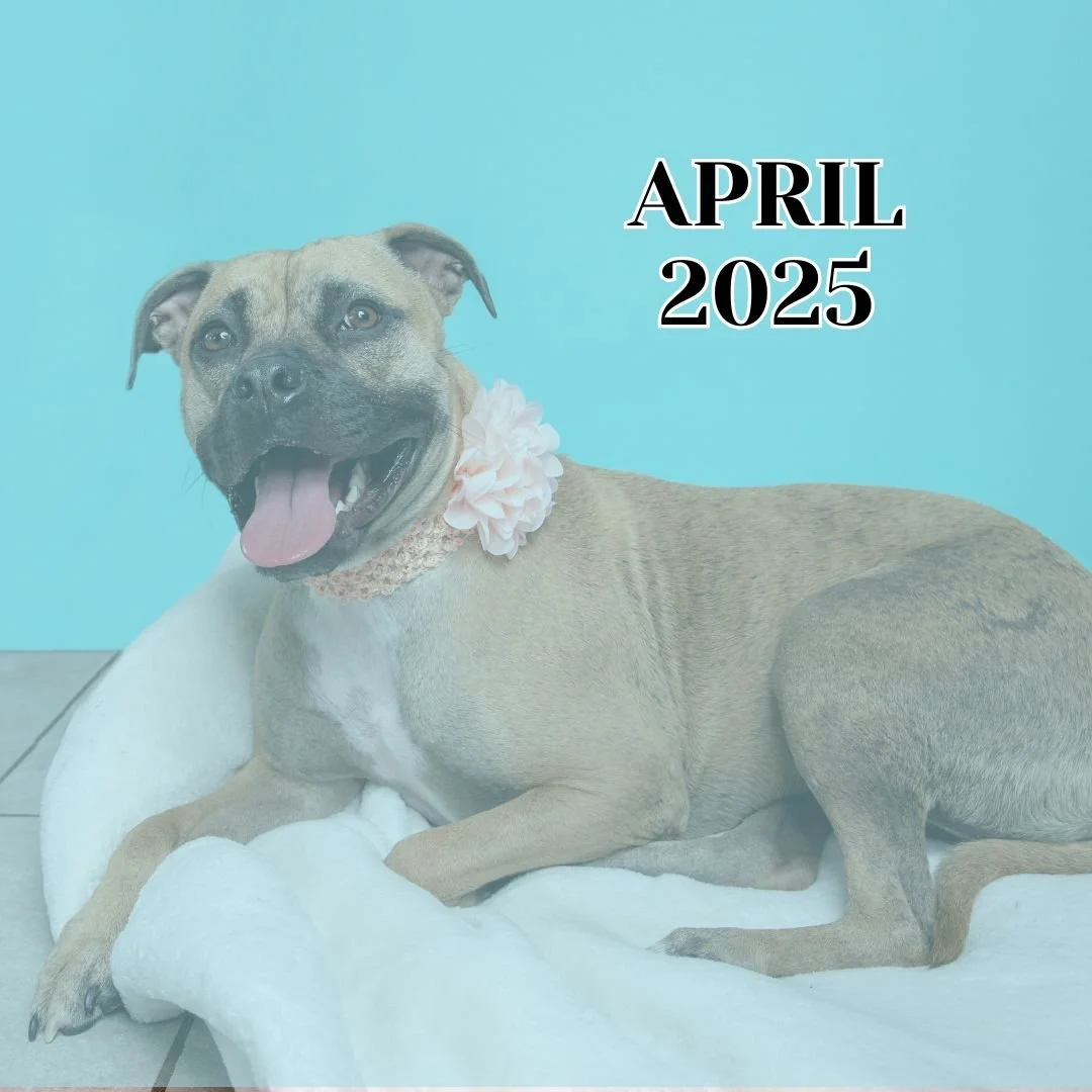 TLC April 2025 Newsletter