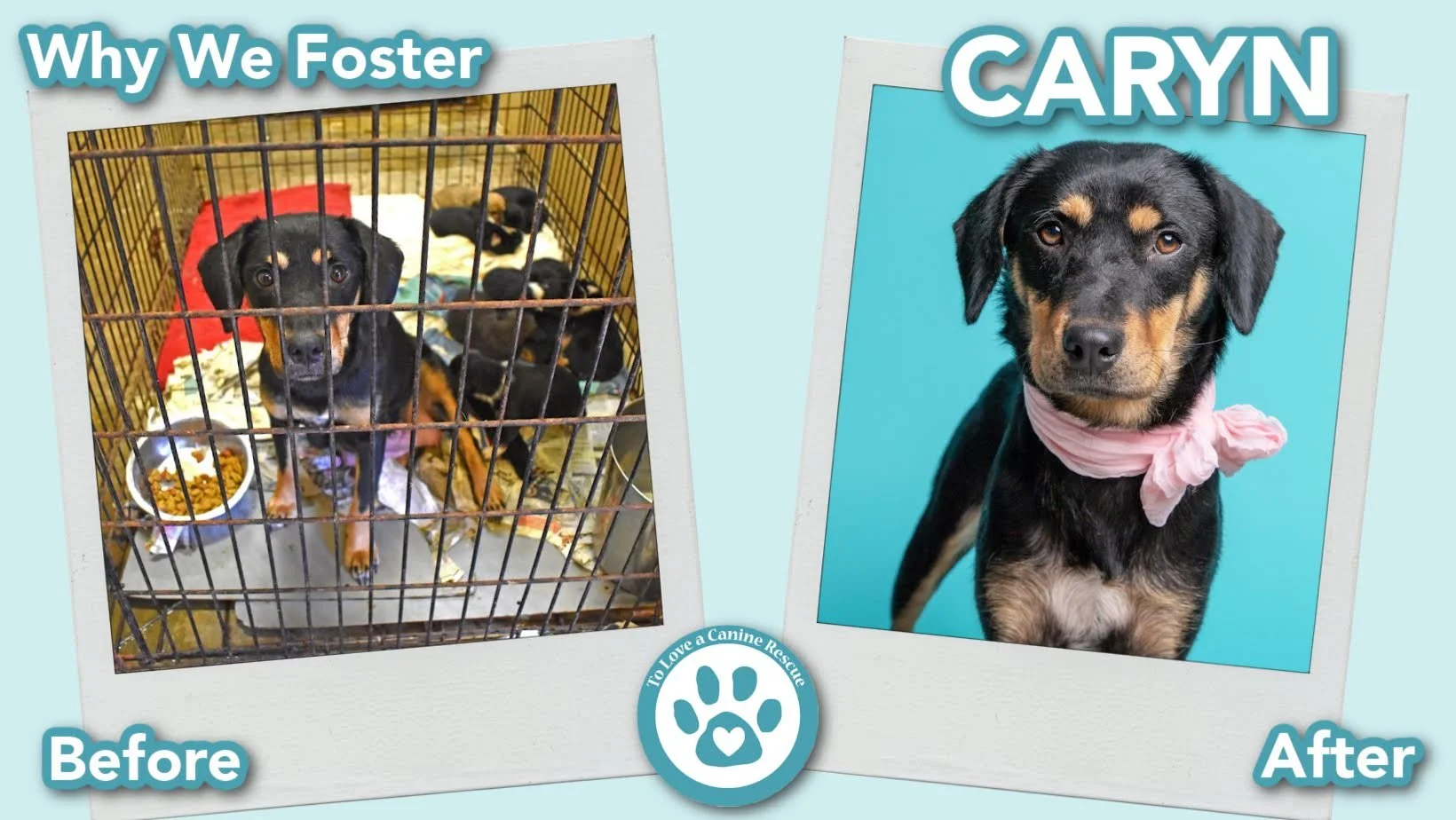 donate-gallery-Caryn (Before&After) - for website  copy (5).jpg