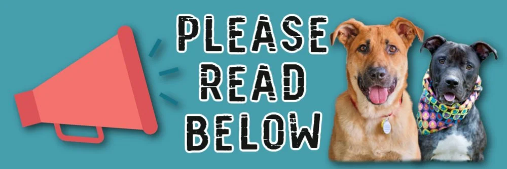 ownersurrender-banner-Please Read Below  (1).jpg
