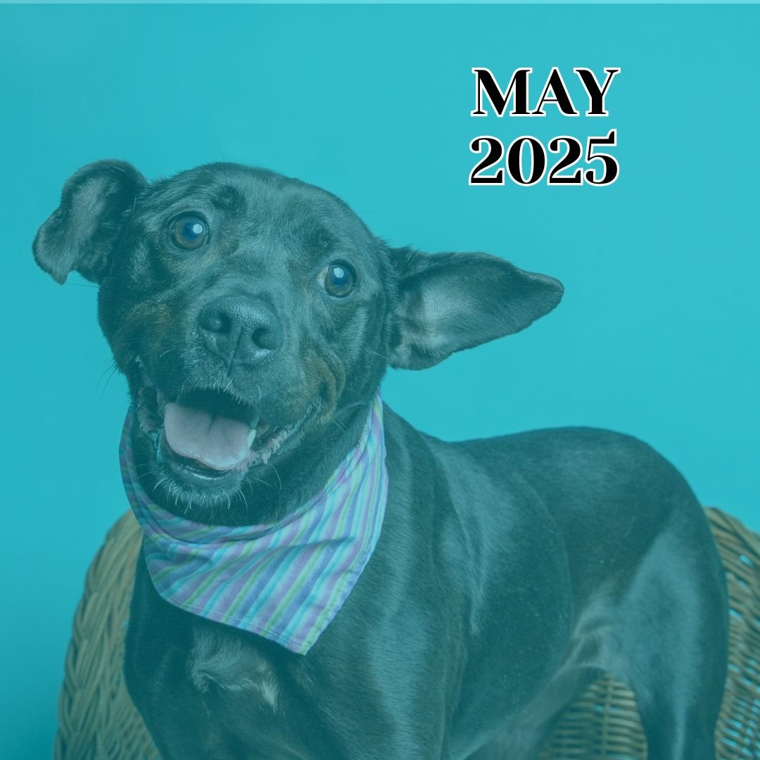 TLC 2025 May Newsletter.
