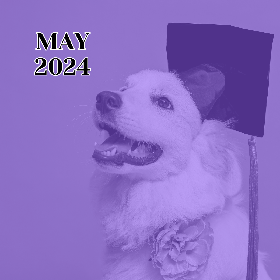 TLC May 2024 Newsletter