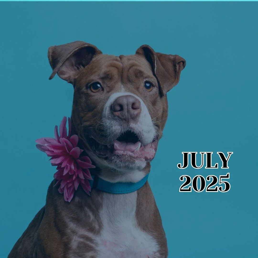 TLC July 2025 Newsletter