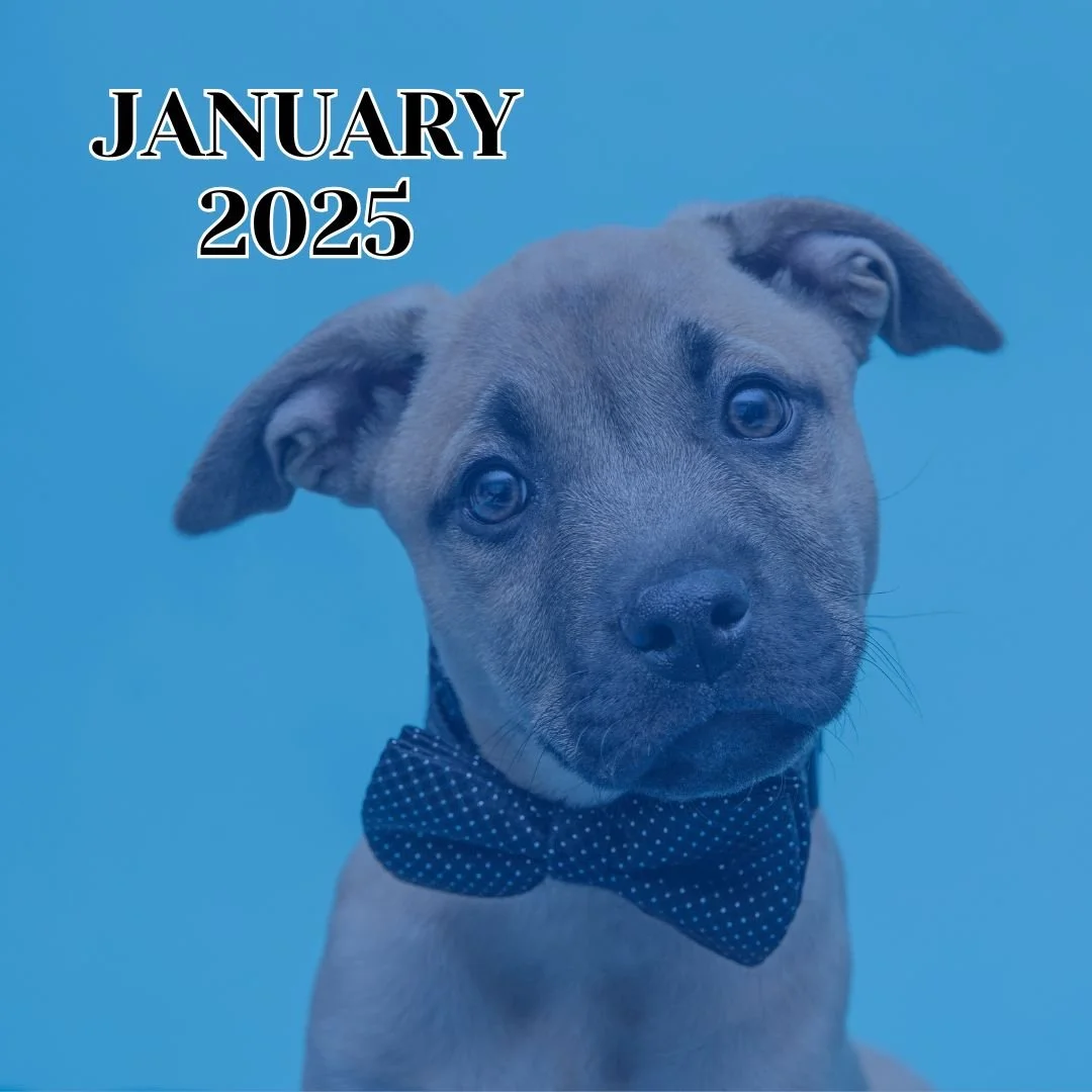 TLC January 2025 Newsletter