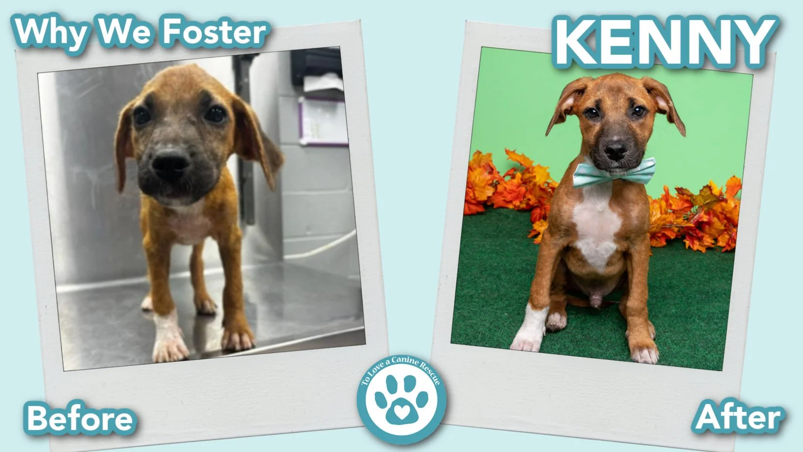 donate-gallery-Kenny Chesney (Before&After) - for website  copy.jpg