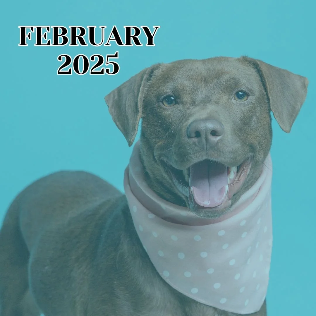 TLC February 2025 Newsletter