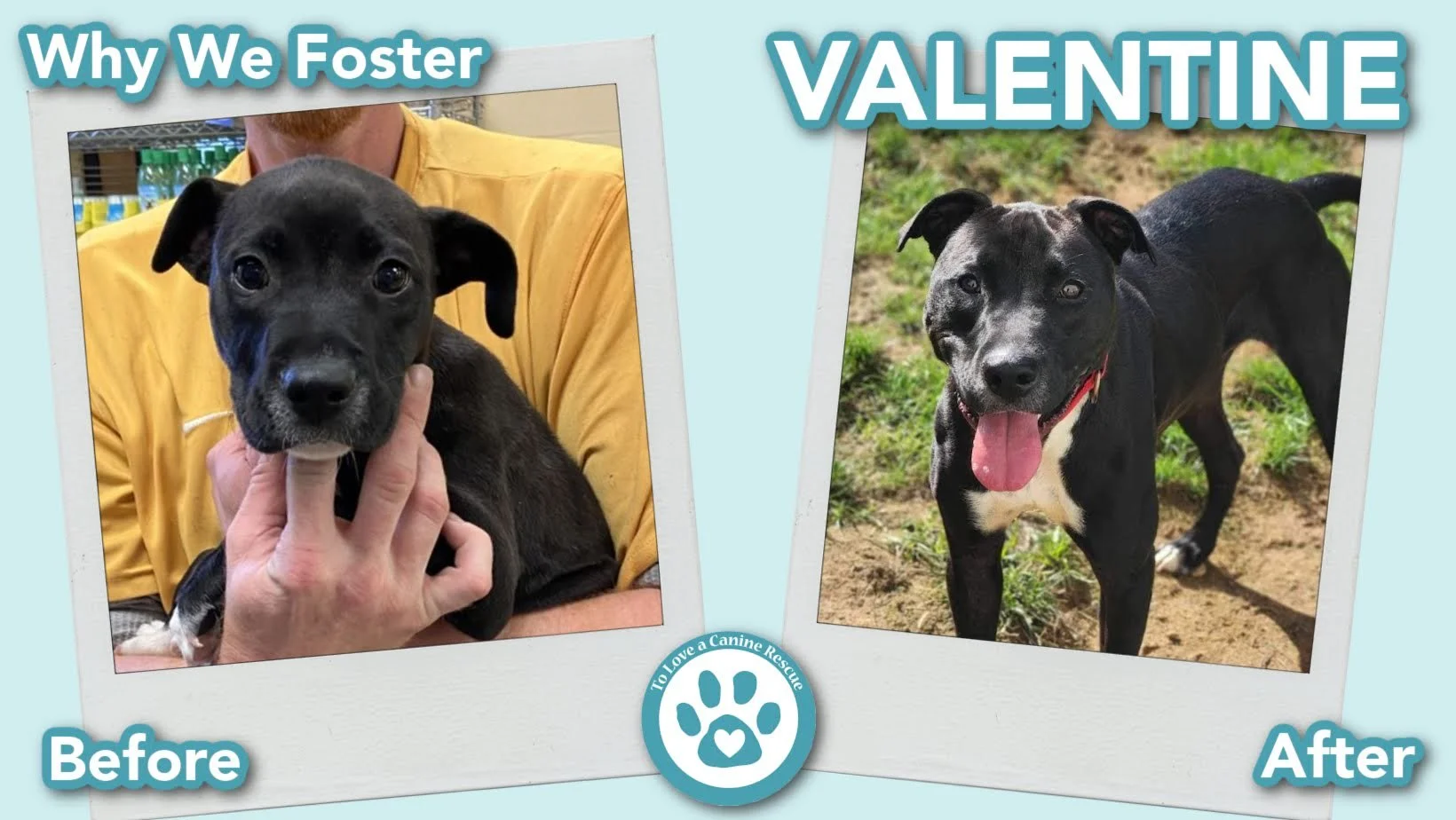 donate-gallery-Valentine (Before&After) - for website  copy (4).jpg