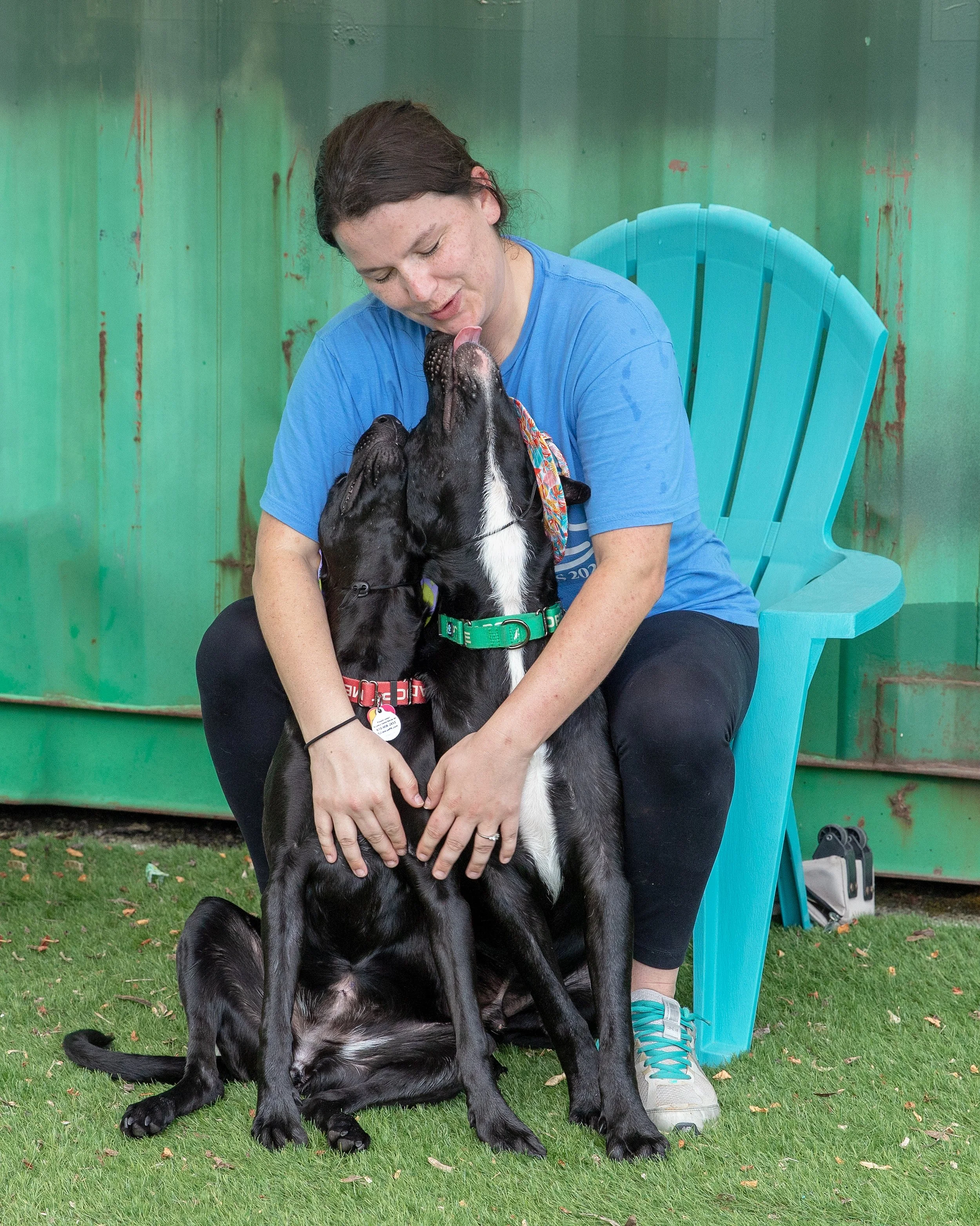 press-images-gallery-TLC Rescue with Pups.jpg
