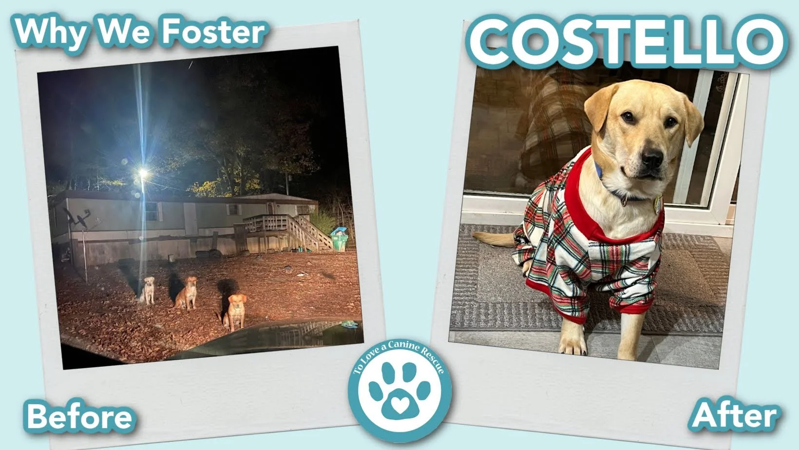 donate-gallery-Costello (Before&After) - for website  copy (9).jpg