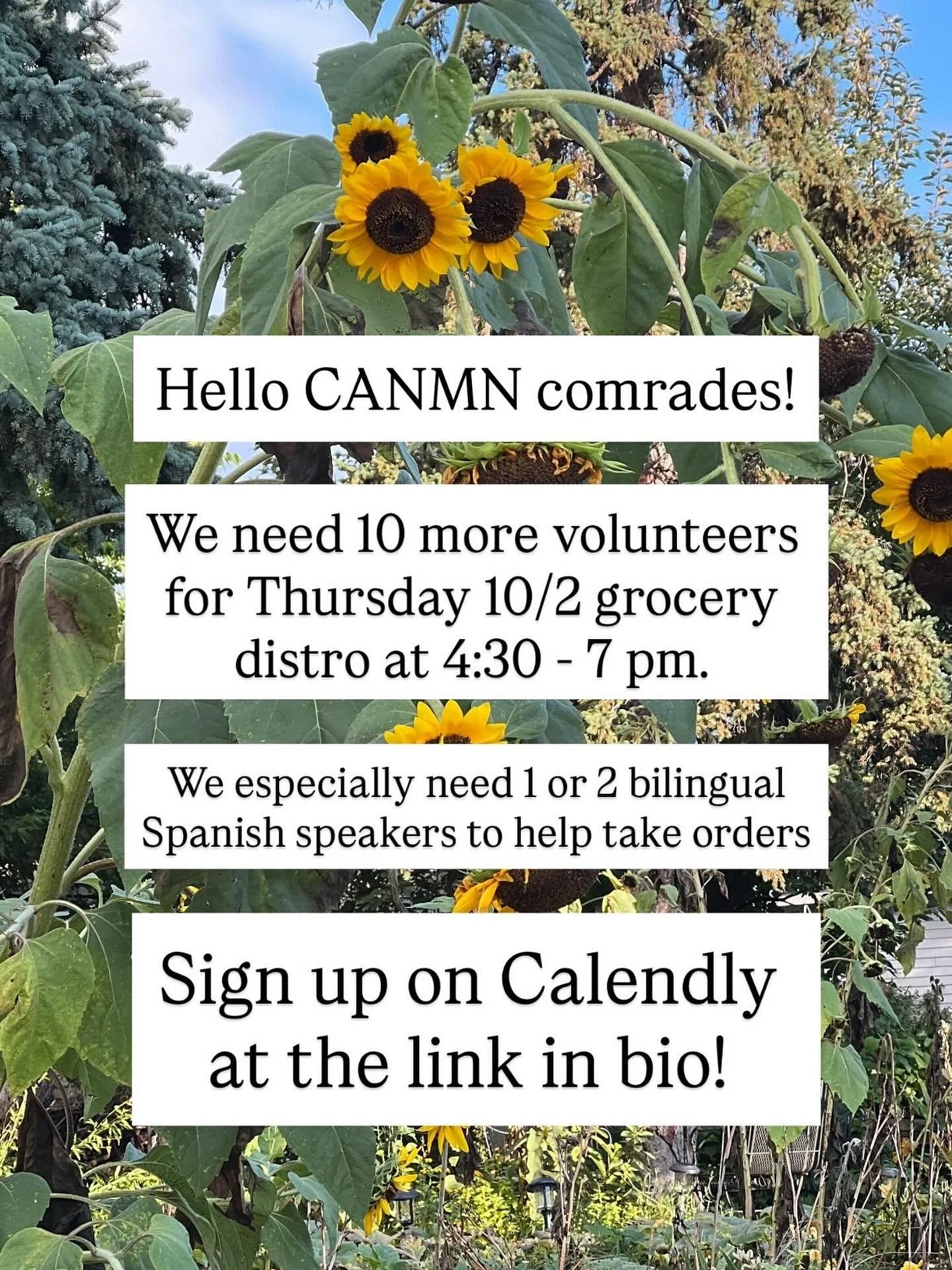 Urgent call for volunteers for Thursday 10/2!! We need 10 more folks to help us fill grocery orders for community members during distro hours (4:30 - 7 pm). We especially need 1 or 2 bilingual Spanish speakers who can help take orders. Please sign up