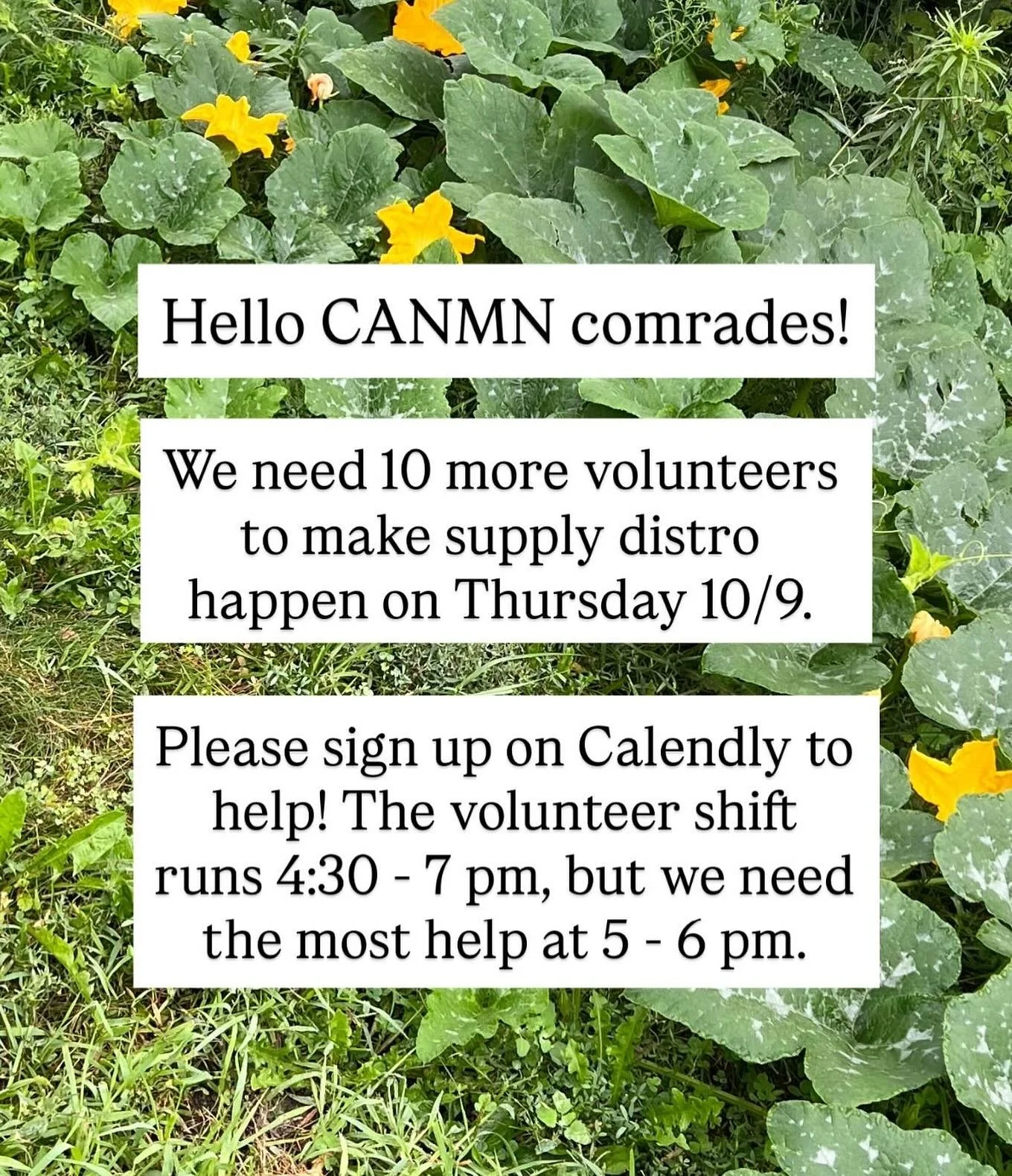 Please sign up to help on Calendly at the link in bio! We need 10 more folks to help us distribute groceries, diapers and other critical supplies tomorrow (Thursday 10/9).