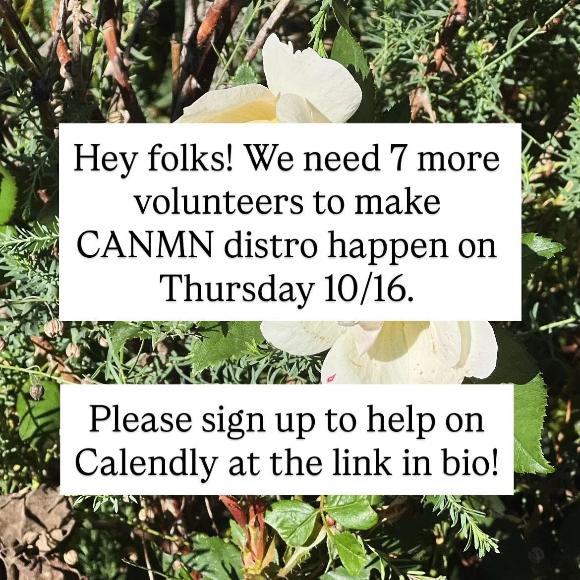 Urgent call for Thursday 10/16 distro volunteers! Please sign up to help on Calendly at the link in bio.