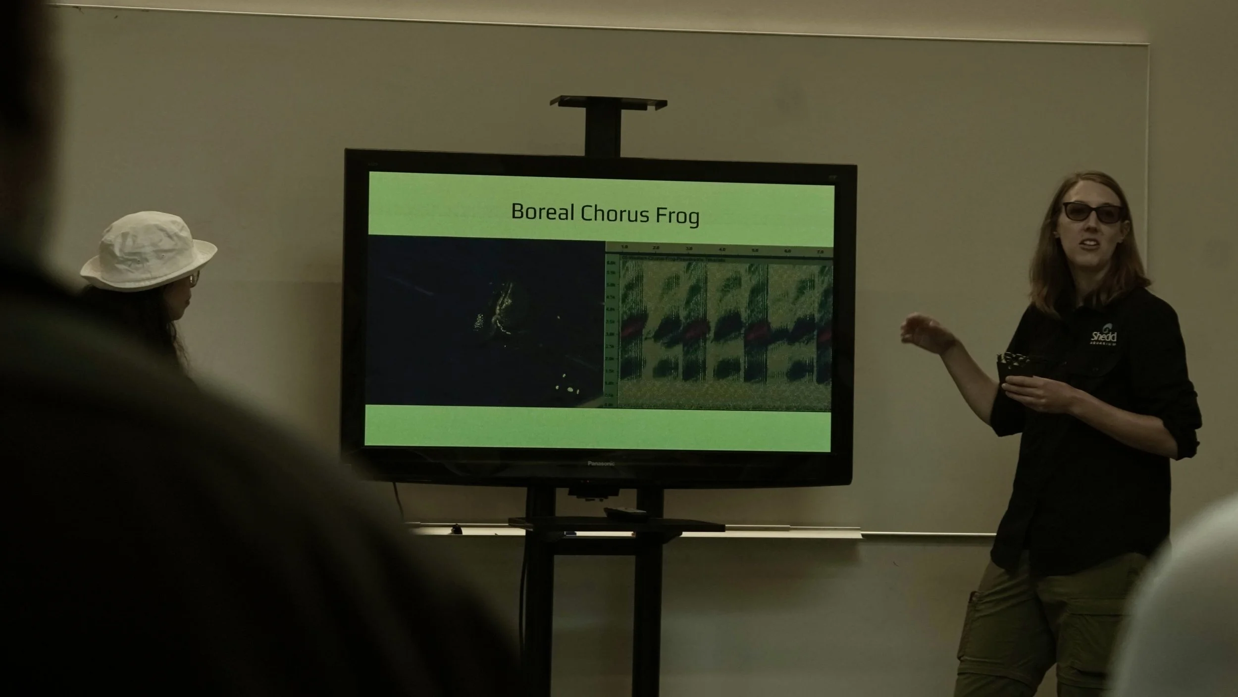 Melissa Youngquist, Shedd Aquarium biologist, helps us explore the calls of the many frogs of Big Marsh Park. 