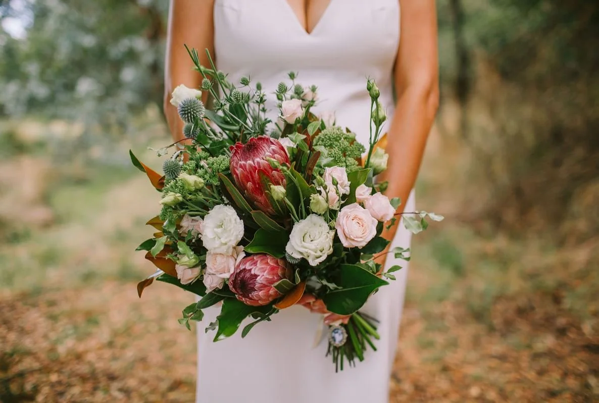 banksia florals.jpg
