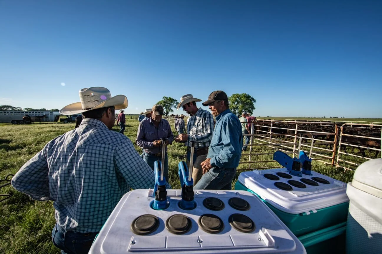 Livestock Supplies — Ranchers Feed and Supply