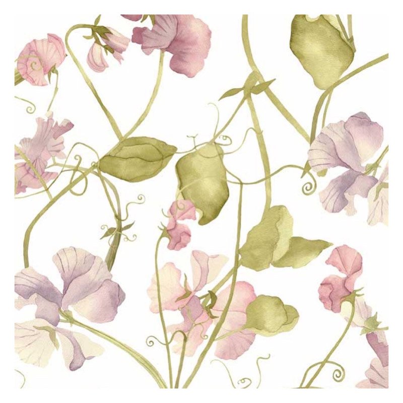 Sweet-Peas_BethArmstrongDesign.JPG