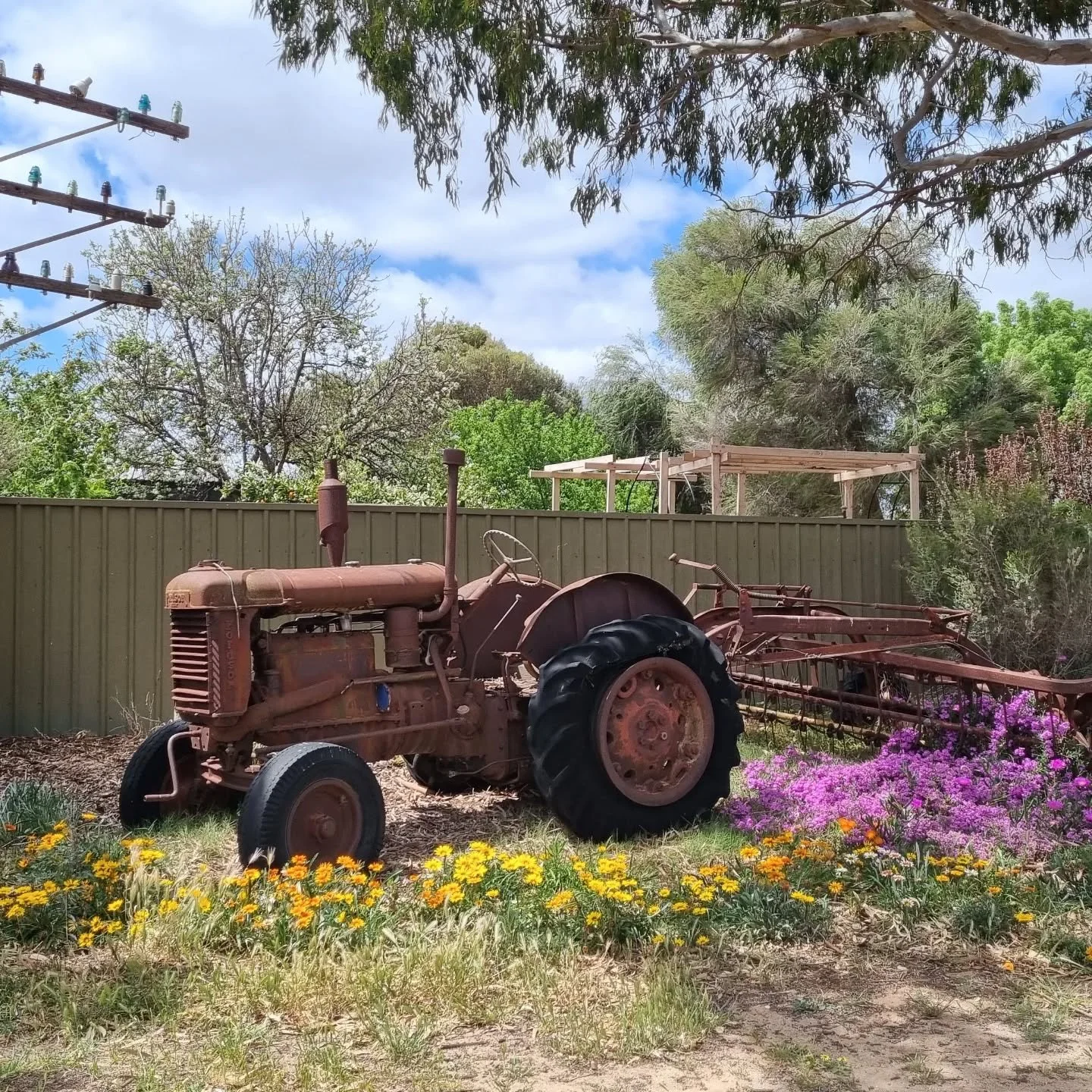 The Gallery is now up and running but it's a little difficult to see from the road.
When you find the old Fordson tractor under the giant gumtree on the roadside, you know you have arrived at the gallery.
You can drive on in and park on the lawn (i