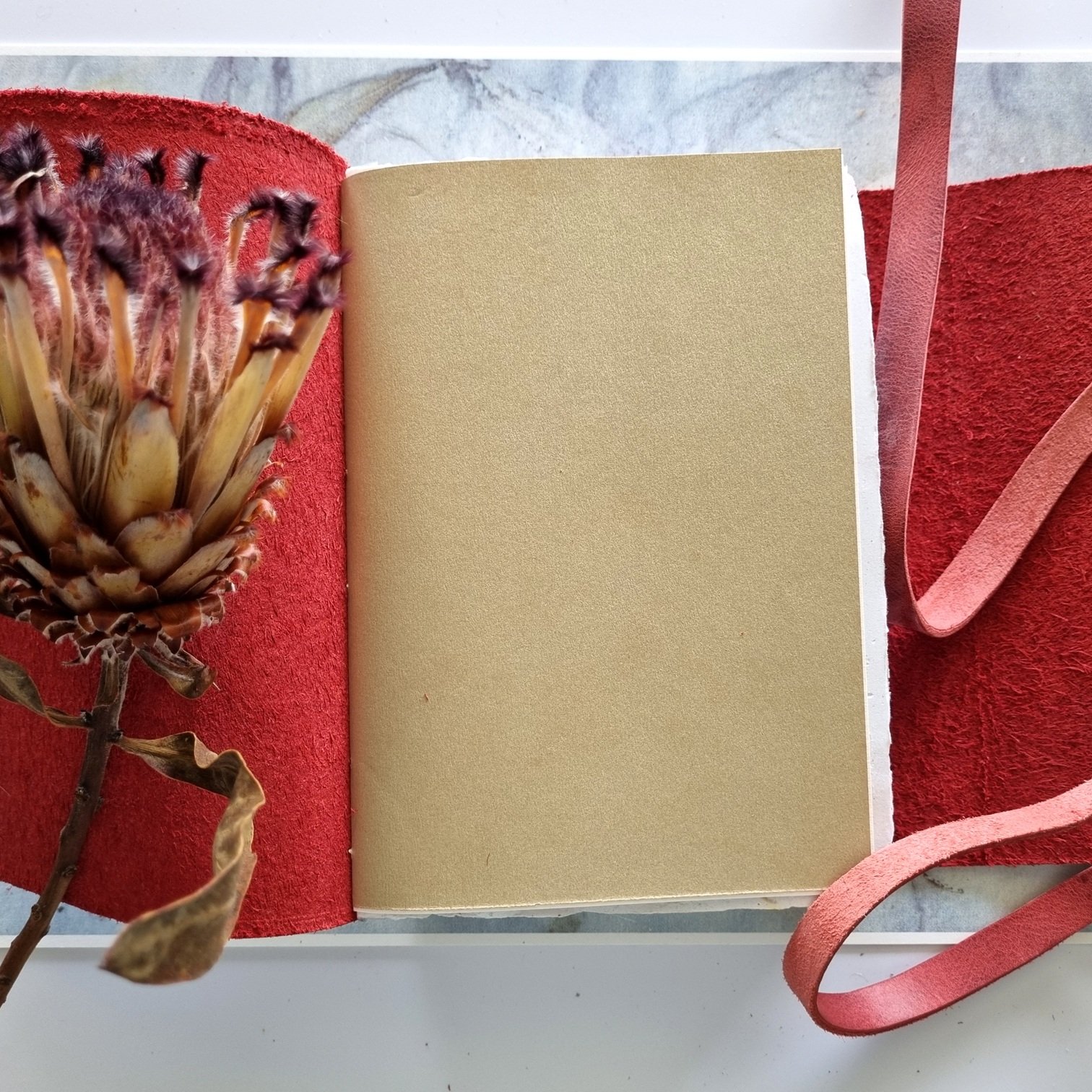 gold page claret.jpg