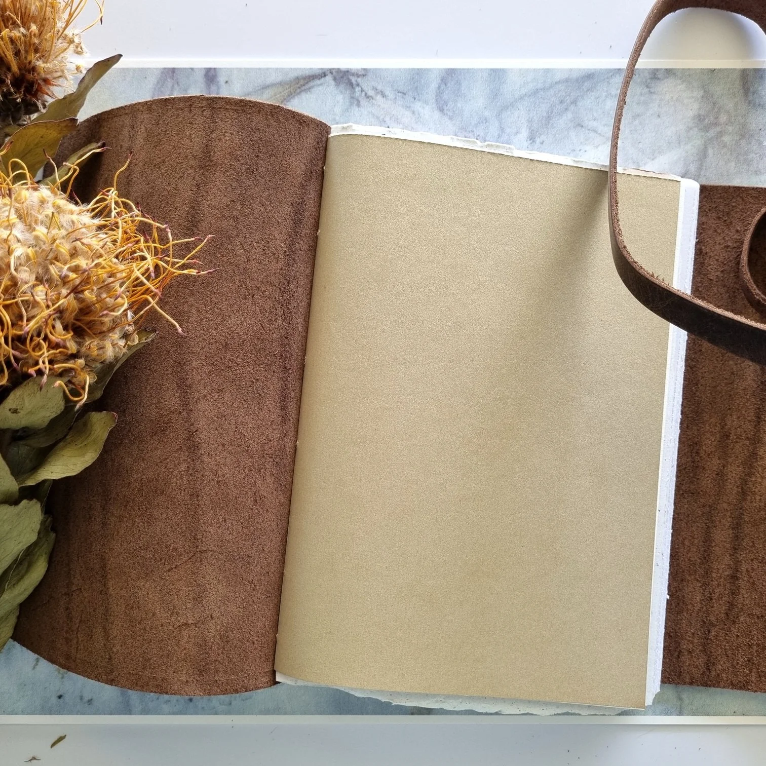 gold page brown.jpg