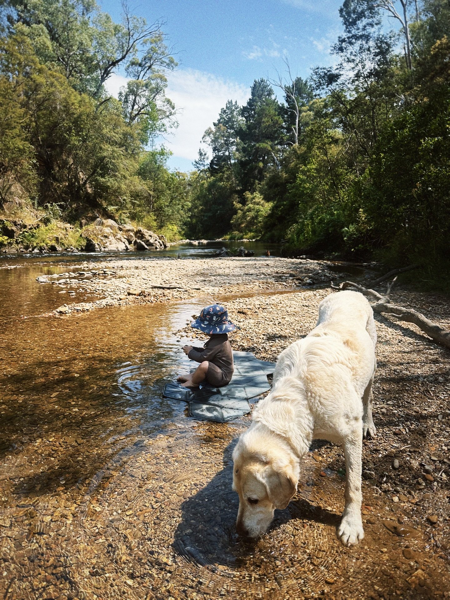 summertime scenes from down under with @audsandmondo 🌞🦘