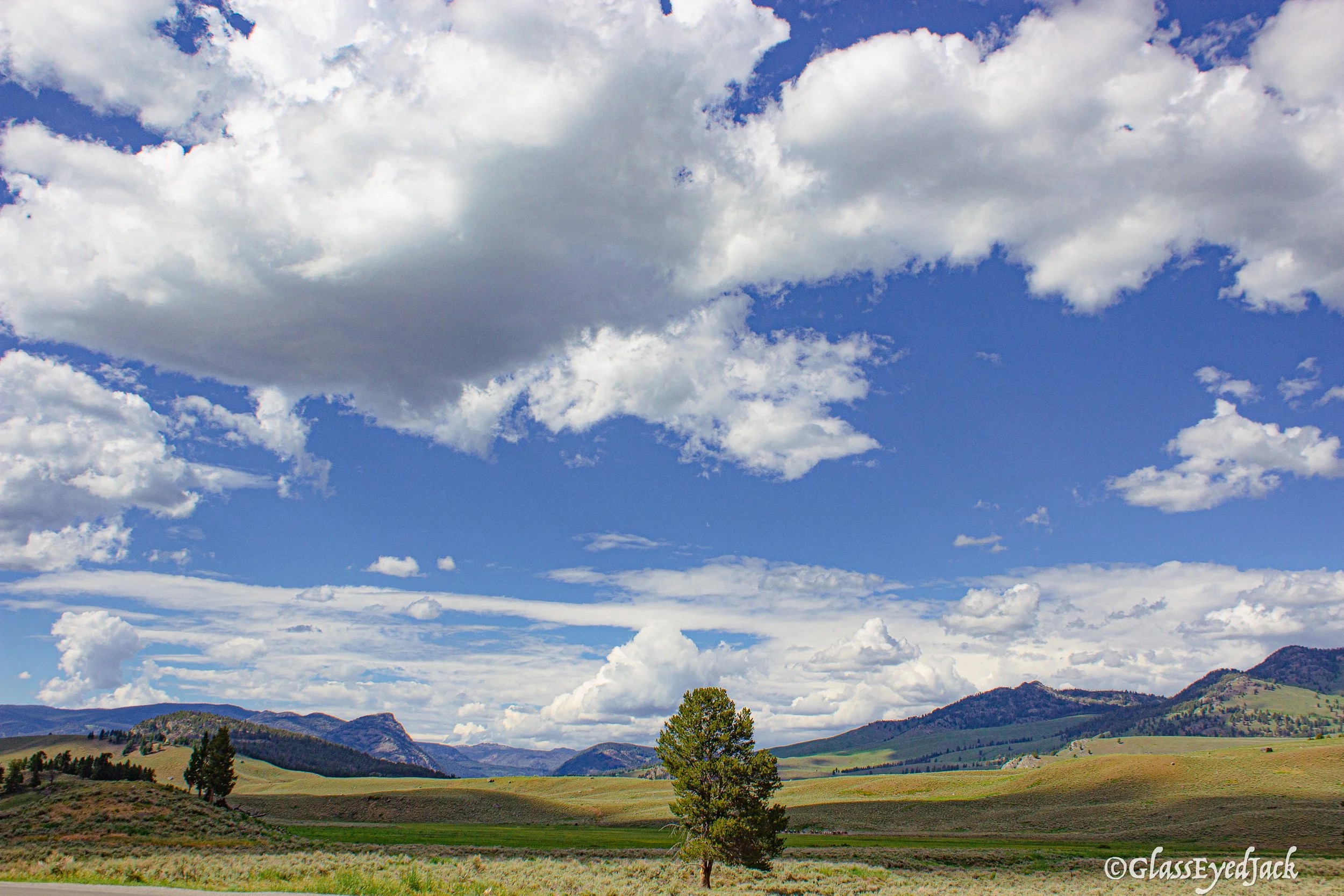 YellowStone Wide Open.jpg
