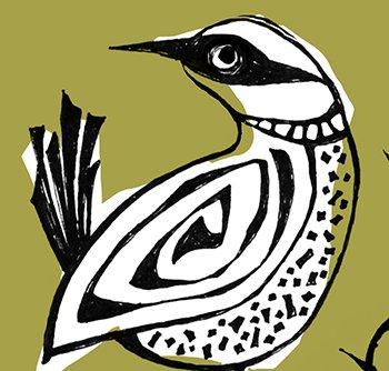 new wren  detail 1 web.jpg