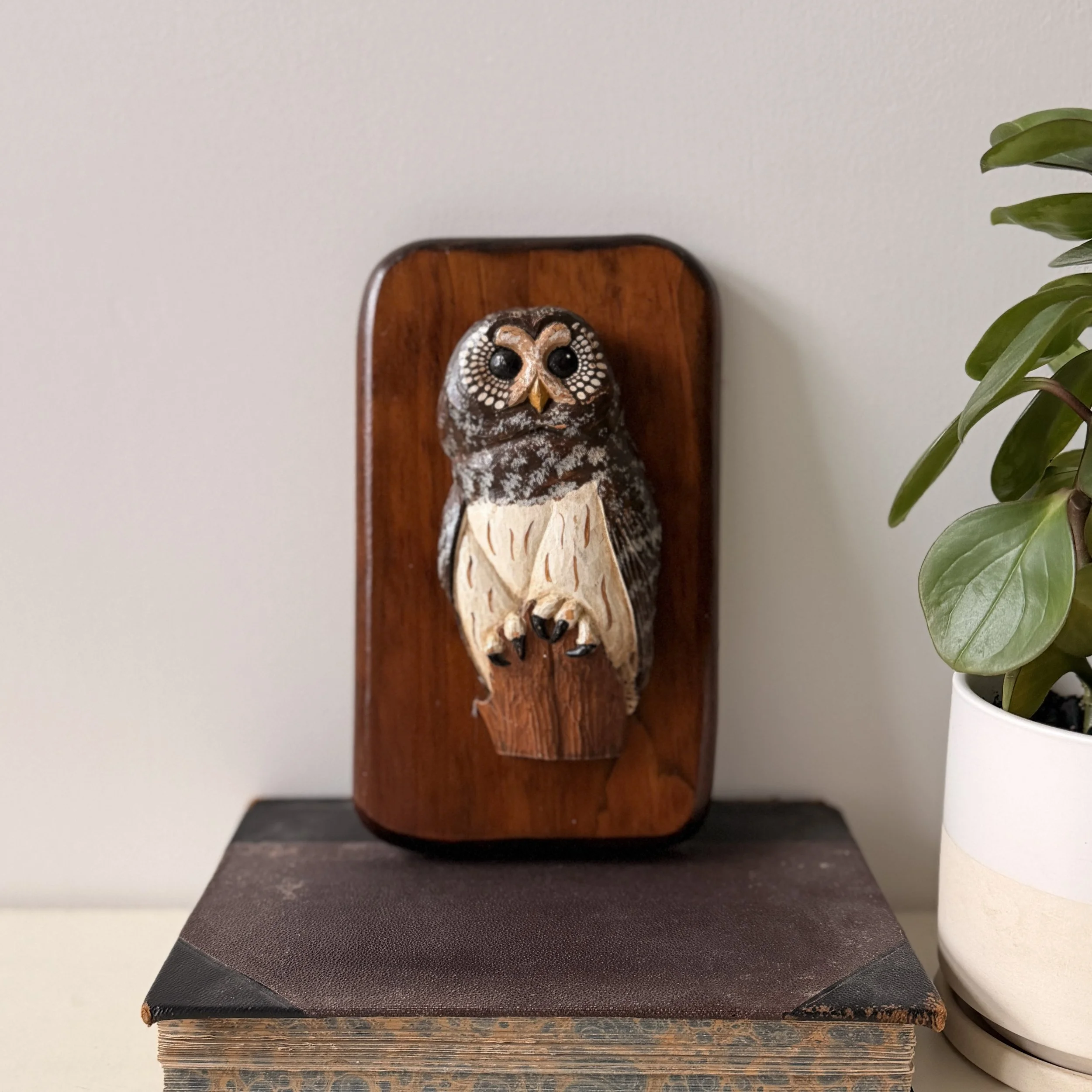 Vintage Barred Owl Wall Hanger