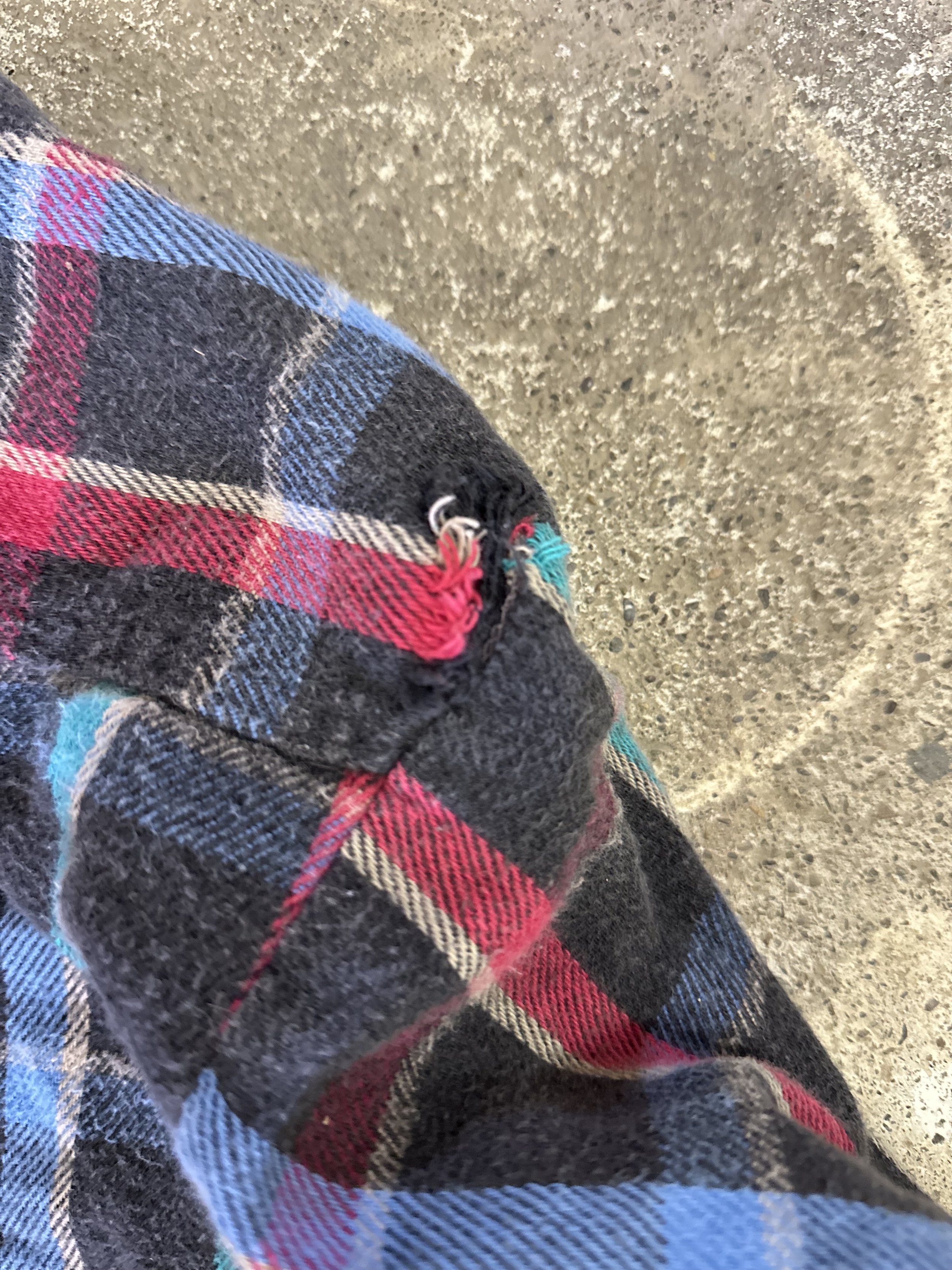 IMG_0365.jpeg