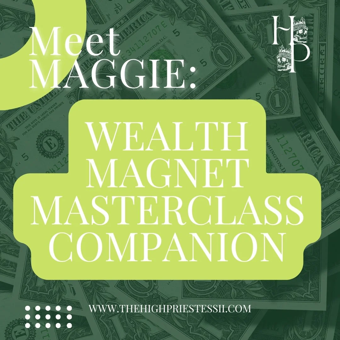Wealth Magnet Masterclass Companion