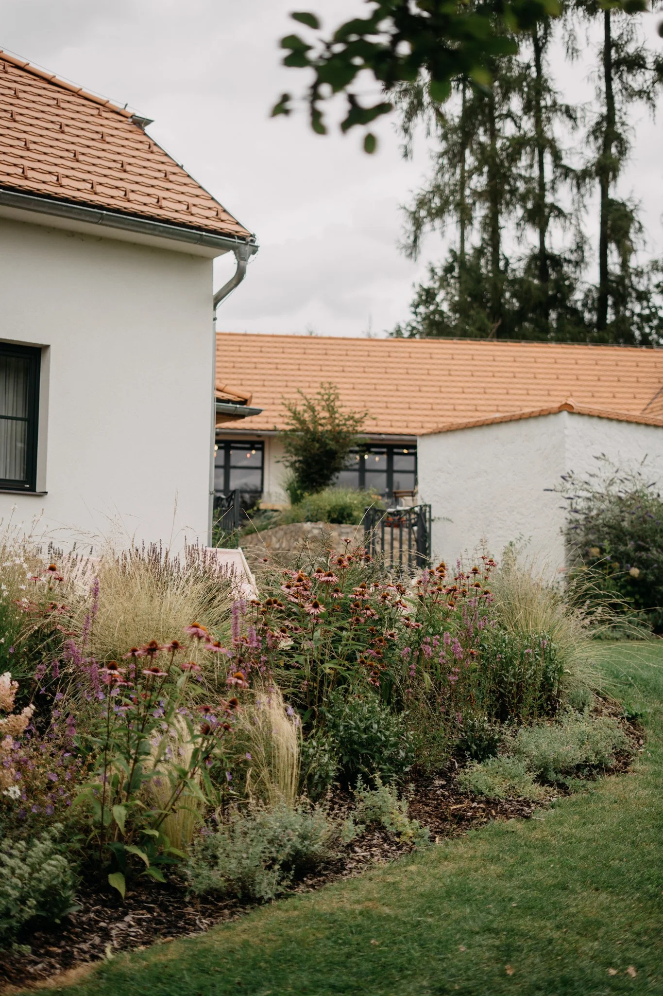 lucie a jarek-26.jpg