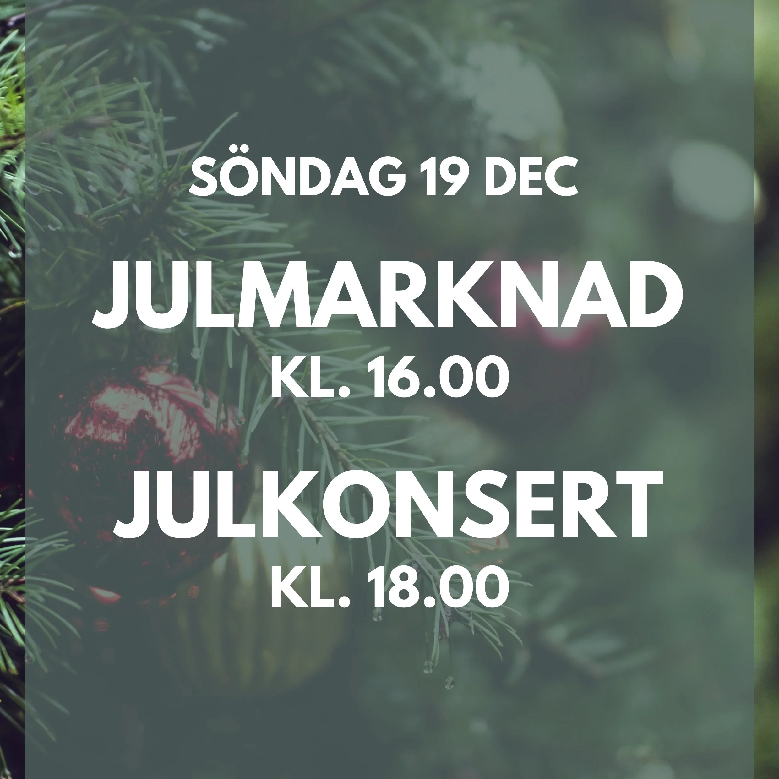 Julmarknad och Julkonsert