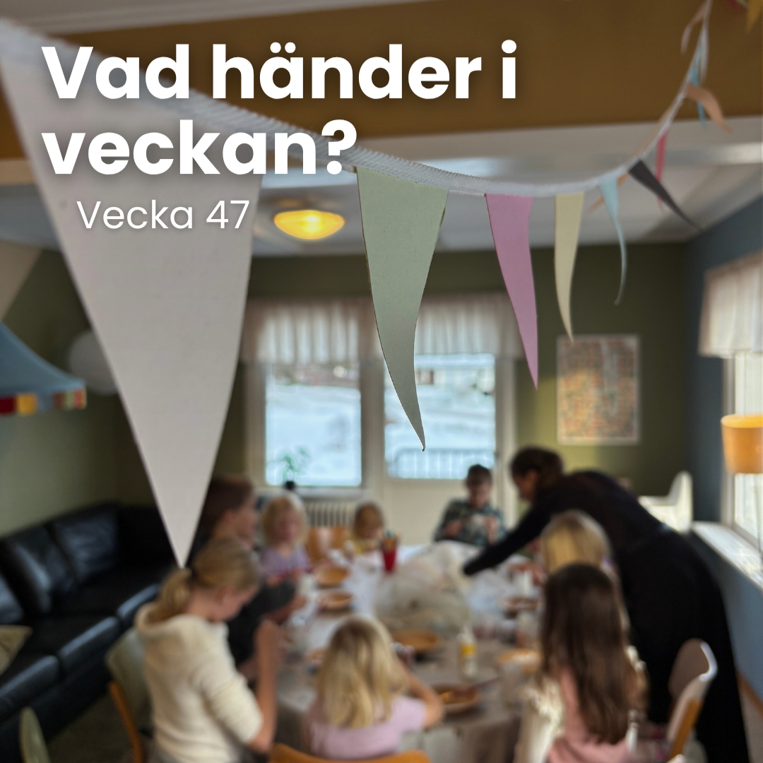 Vecka 47