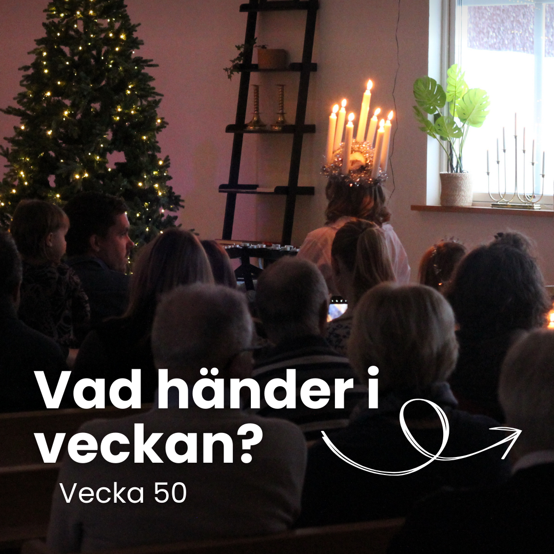 Vecka 50