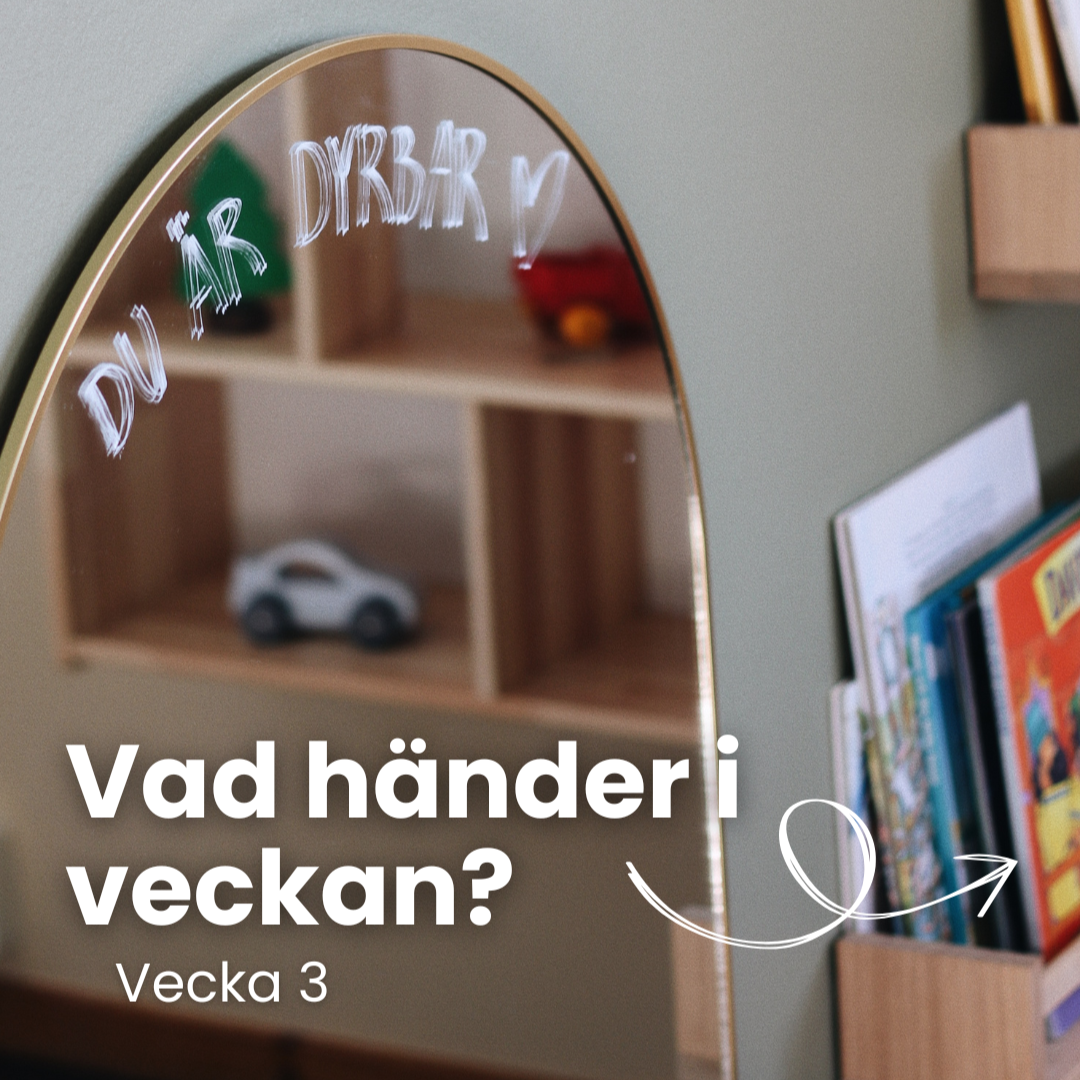 Vecka 3