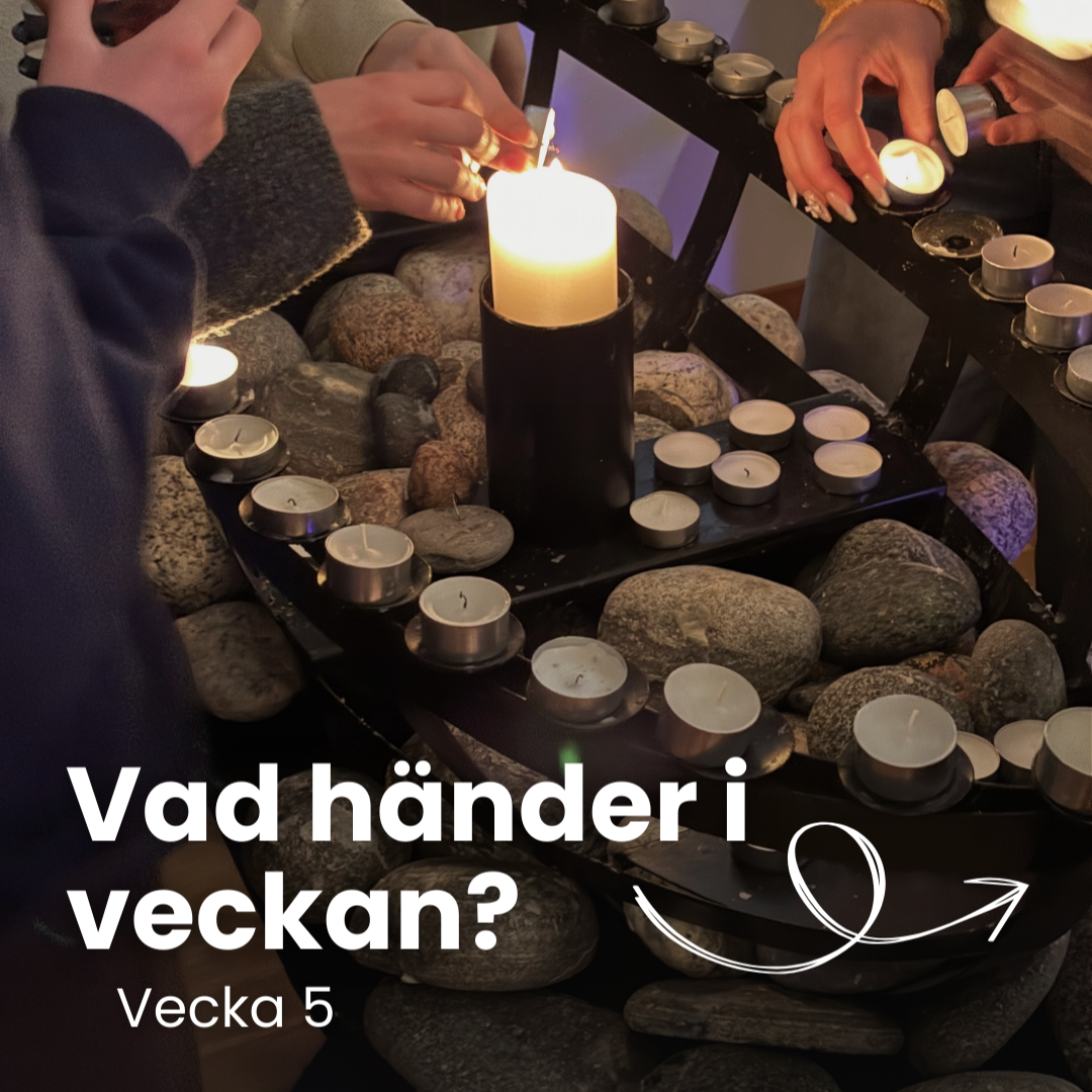 Vecka 5