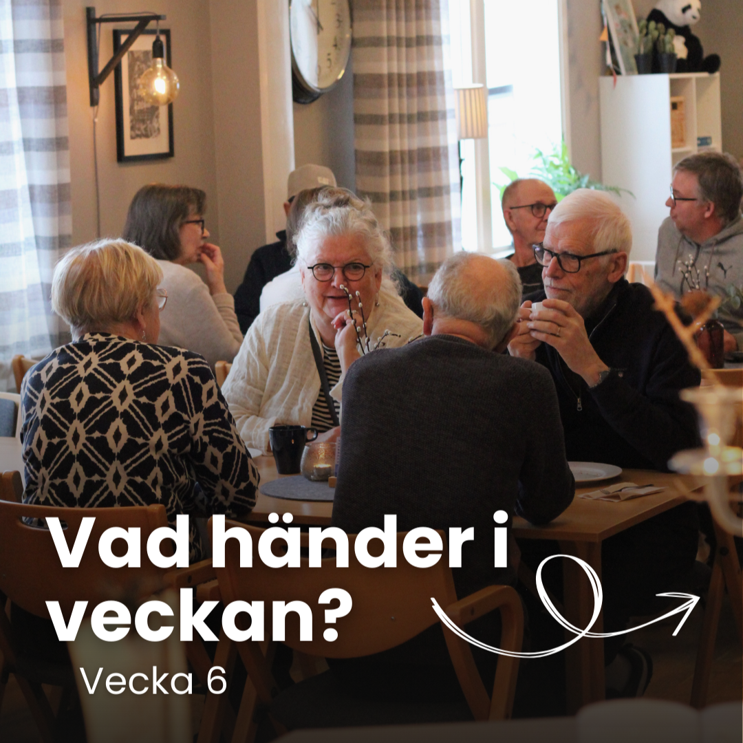 Vecka 6