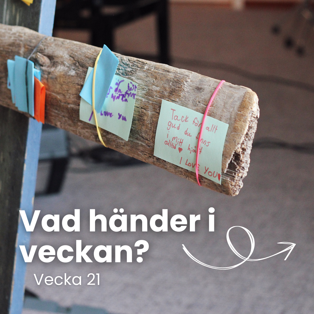 Vecka 21