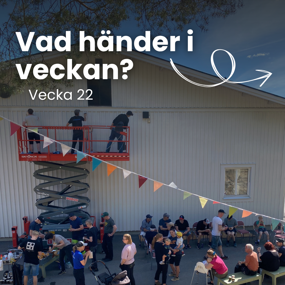 Vecka 22