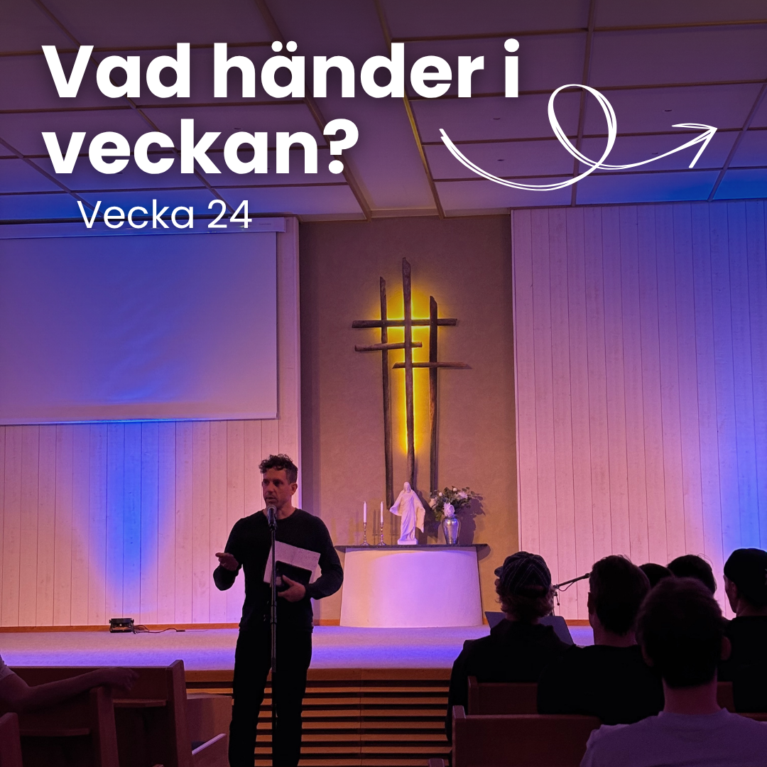 Vecka 24