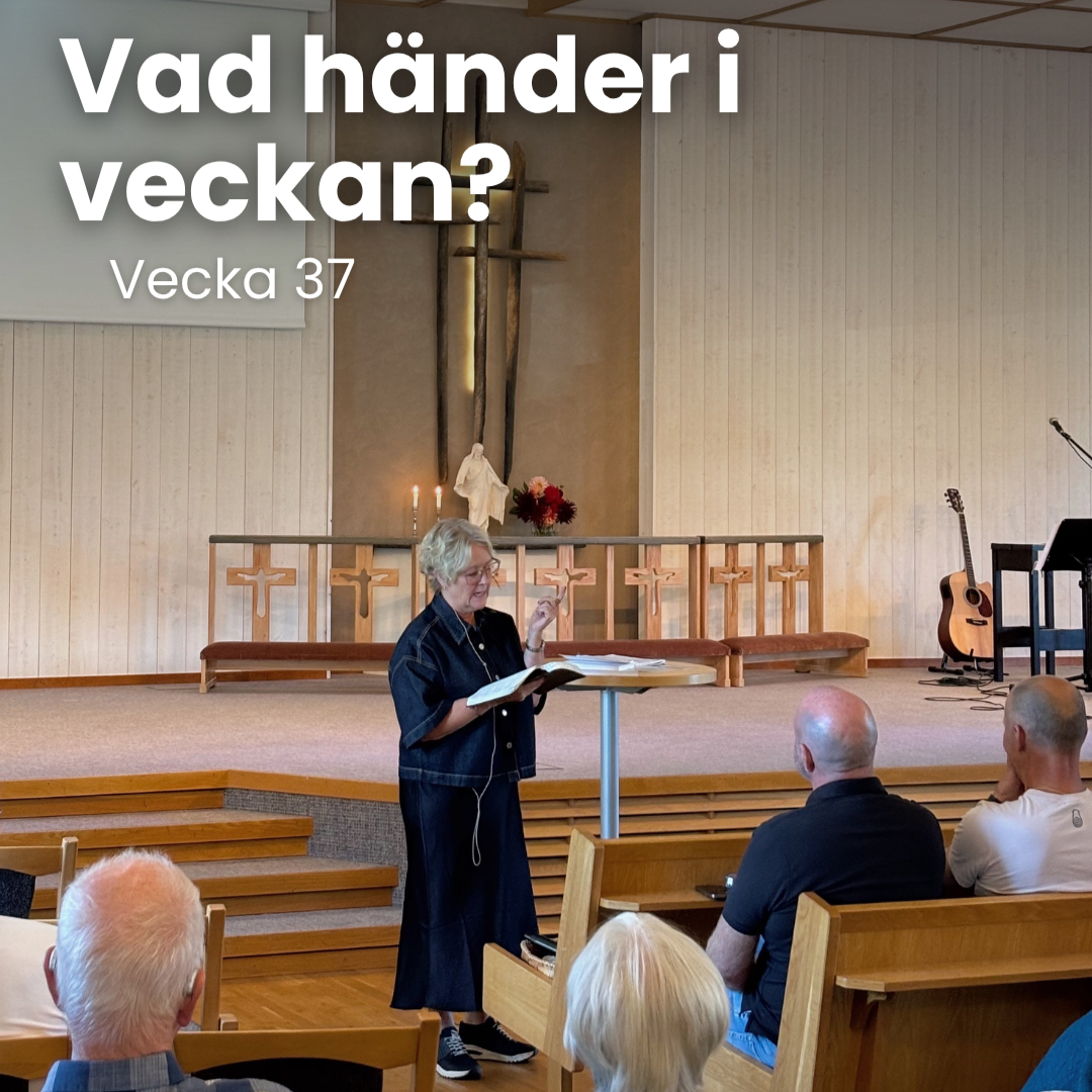Vecka 37