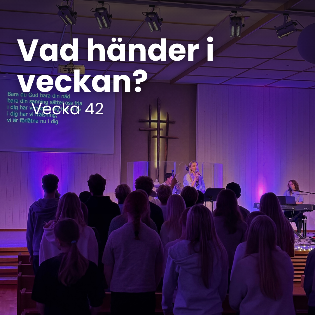 Vecka 42