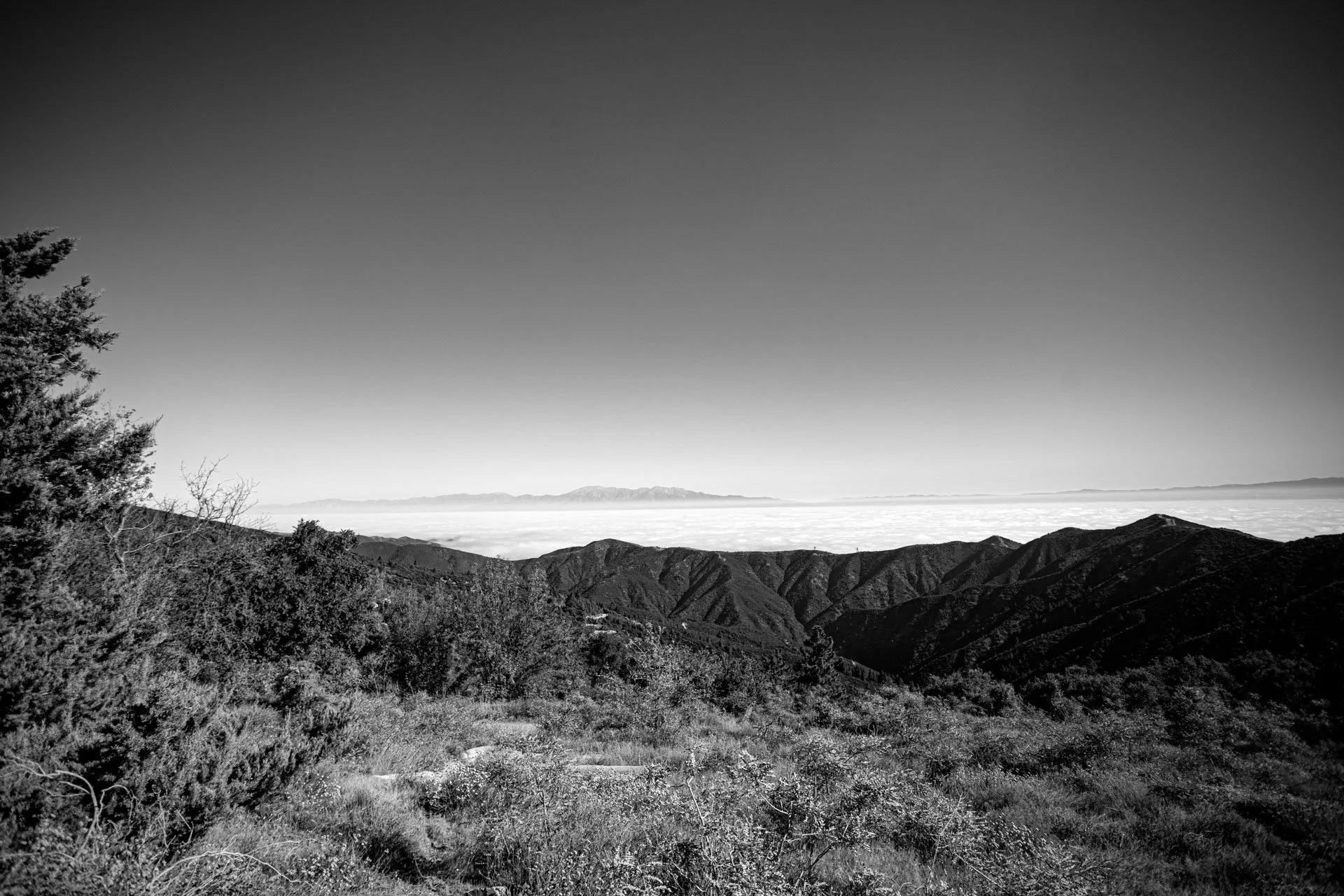 IMG_8950.jpg