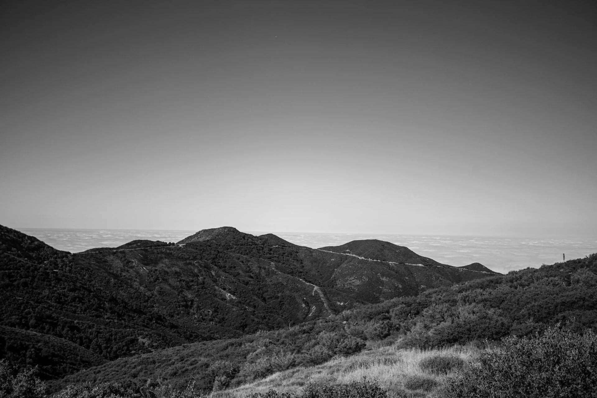 IMG_8952.jpg