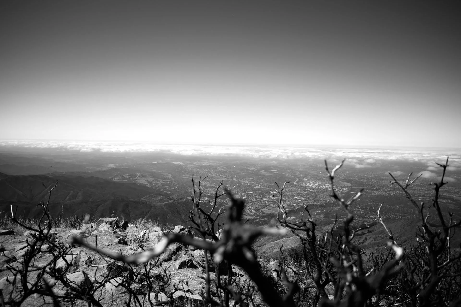 IMG_8985.jpg