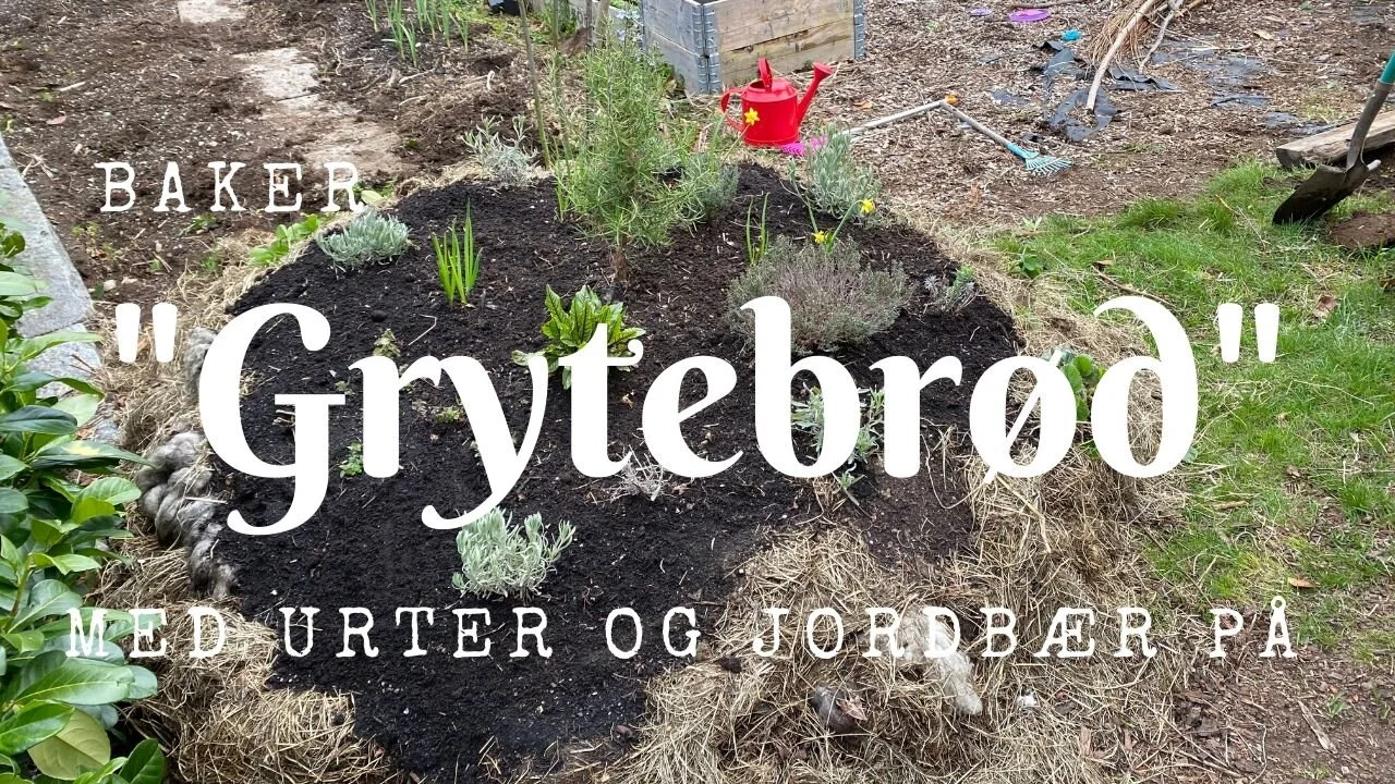 Baker "grytebrød" med urter og jordbær på!
