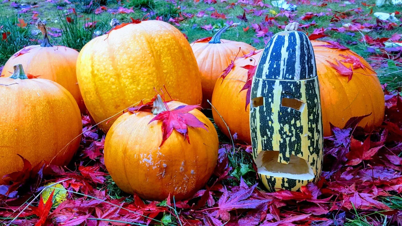 Halloween-monster av squash!