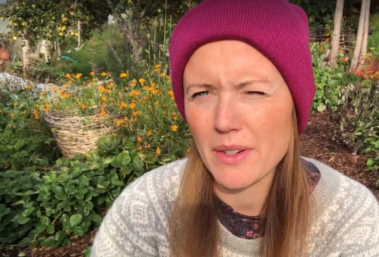 Stor forskjell på mikroklima